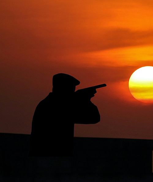 Shotgun at sunset