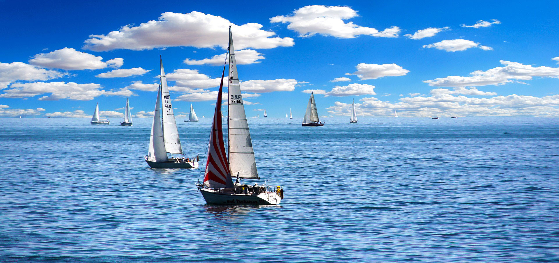 Many sailboats on the water