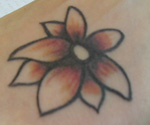 Orange black and whit flower