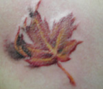 Maple leaf