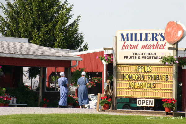  This is a picture of an Amish market.