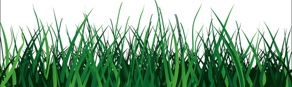 Tall grass