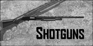 shotguns